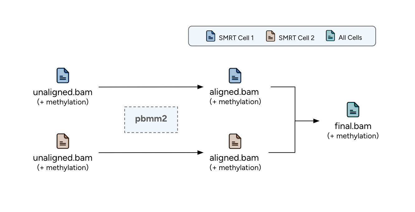 flow_chart